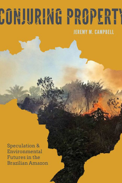 Conjuring Property: Speculation and Environmental Futures the Brazilian Amazon