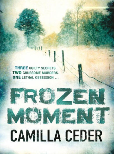 Frozen Moment: 'A good psychological crime novel that will appeal to fans of Wallander and Stieg Larsson' CHOICE