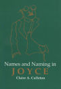 Names And Naming In Joyce