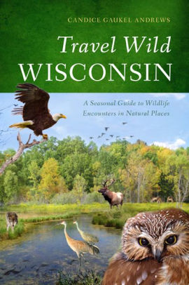 Travel Wild Wisconsin A Seasonal Guide To Wildlife