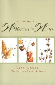 Title: A Guide to Wildflowers in Winter: Herbaceous Plants of Northeastern North America, Author: Carol Levine