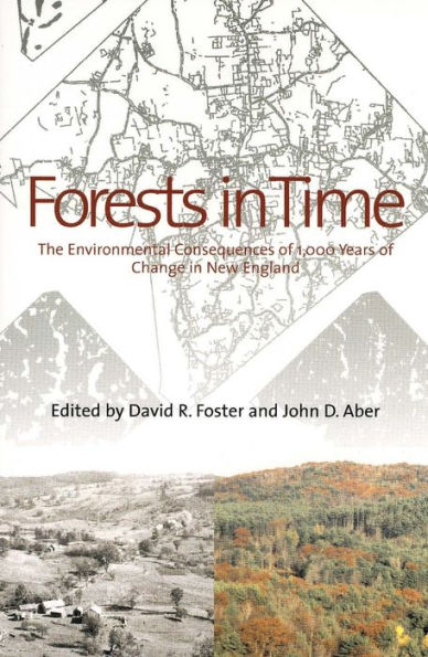 Forests in Time: The Environmental Consequences of 1,000 Years of Change in New England