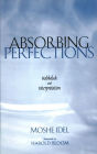 Absorbing Perfections: Kabbalah and Interpretation