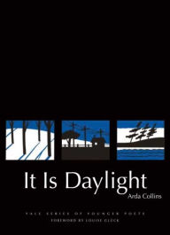 Title: It Is Daylight, Author: Arda Collins