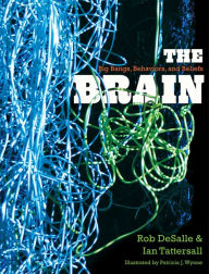 Title: The Brain: Big Bangs, Behaviors, and Beliefs, Author: Rob DeSalle