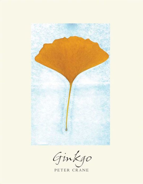 Ginkgo: The Tree That Time Forgot