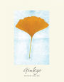 Ginkgo: The Tree That Time Forgot