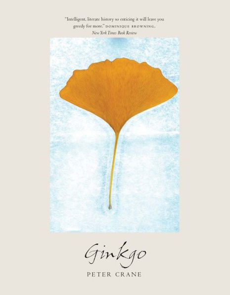 Ginkgo: The Tree That Time Forgot