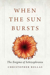 Download free e books for iphone When the Sun Bursts: The Enigma of Schizophrenia by Christopher Bollas in English RTF