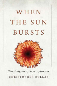 Ebook file sharing free download When the Sun Bursts: The Enigma of Schizophrenia DJVU FB2 English version by Christopher Bollas