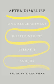 Ebook for mobile phone free download After Disbelief: On Disenchantment, Disappointment, Eternity, and Joy 9780300259926