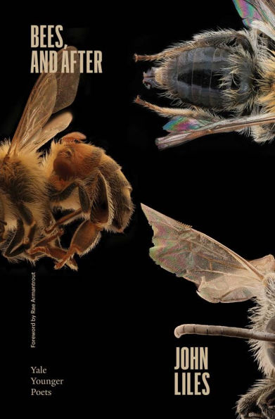 Bees, and After