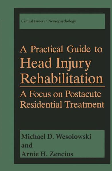 A Practical Guide to Head Injury Rehabilitation: A Focus on Postacute Residential Treatment / Edition 1