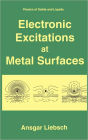 Electronic Excitations at Metal Surfaces / Edition 1