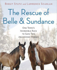 Title: The Rescue of Belle and Sundance: One Town's Incredible Race to Save Two Abandoned Horses, Author: Birgit Stutz