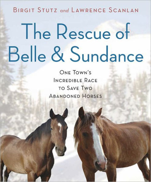 The Rescue of Belle and Sundance: One Town's Incredible Race to Save Two Abandoned Horses