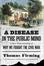 A Disease in the Public Mind: A New Understanding of Why We Fought the Civil War