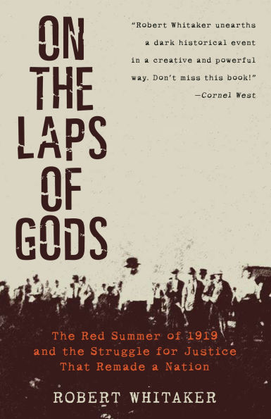 On the Laps of Gods: Red Summer 1919 and Struggle for Justice That Remade a Nation