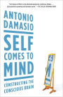 Self Comes to Mind: Constructing the Conscious Brain