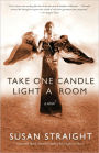 Take One Candle Light a Room: A Novel