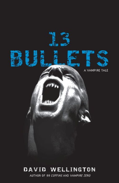 13 Bullets