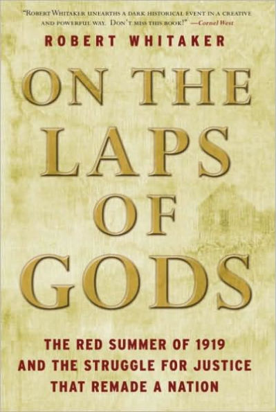 On the Laps of Gods: The Red Summer of 1919 and the Struggle for Justice That Remade a Nation