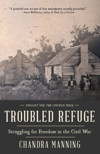 Troubled Refuge: Struggling for Freedom in the Civil War