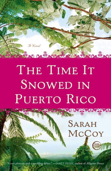 The Time It Snowed in Puerto Rico: A Novel