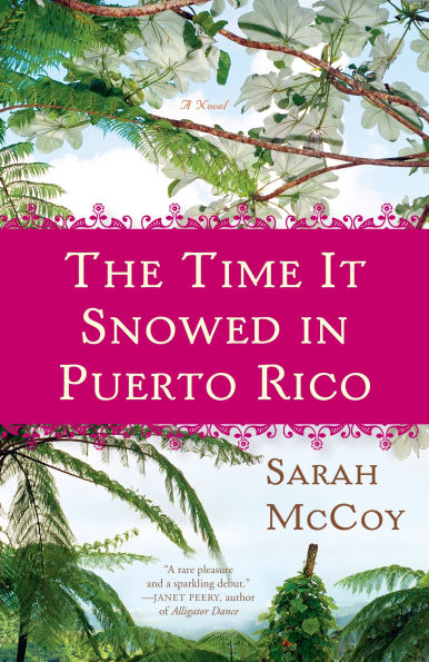 The Time It Snowed Puerto Rico: A Novel
