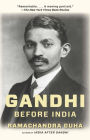 Gandhi Before India