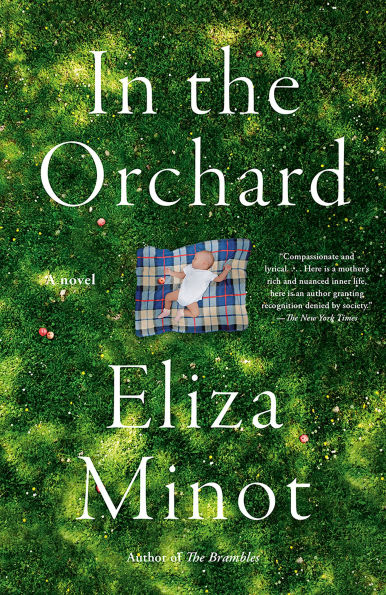 the Orchard: A novel