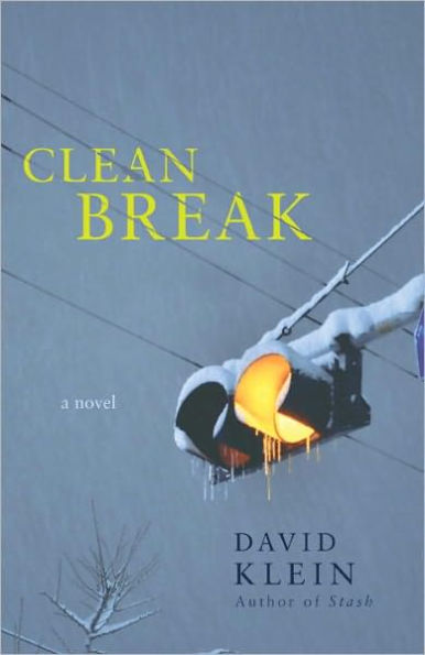 Clean Break: A Novel