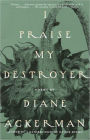 I Praise My Destroyer: Poems