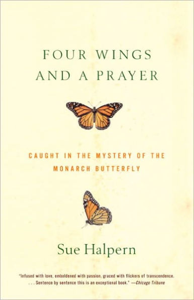 Four Wings and a Prayer: Caught in the Mystery of the Monarch Butterfly