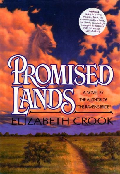 Promised Lands: A NOVEL OF THE TEXAS REB