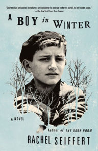 Title: A Boy in Winter: A Novel, Author: Rachel Seiffert