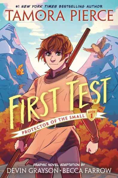 First Test Graphic Novel: (A Novel)