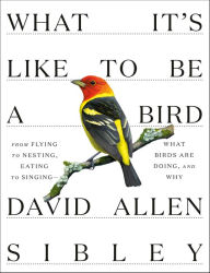 New ebook download What It's Like to Be a Bird: From Flying to Nesting, Eating to Singing--What Birds Are Doing, and Why by David Allen Sibley
