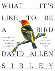 Ebook for mobile phones download What It's Like to Be a Bird: From Flying to Nesting, Eating to Singing--What Birds Are Doing, and Why by David Allen Sibley DJVU iBook PDF 9780593430187