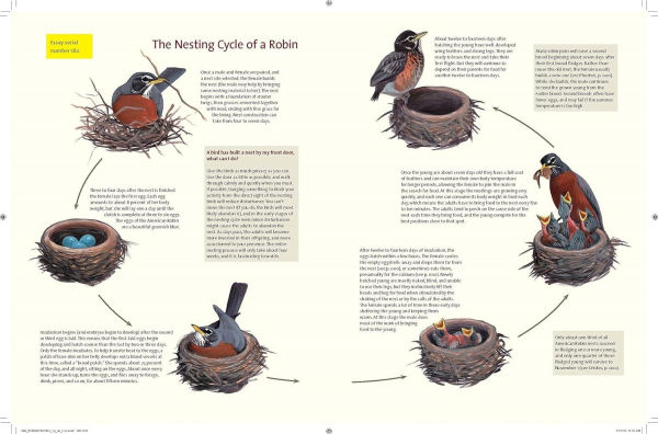 What It's Like to Be a Bird: From Flying to Nesting, Eating to Singing--What Birds Are Doing, and Why