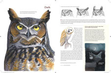 Alternative view 5 of What It's Like to Be a Bird: From Flying to Nesting, Eating to Singing--What Birds Are Doing, and Why