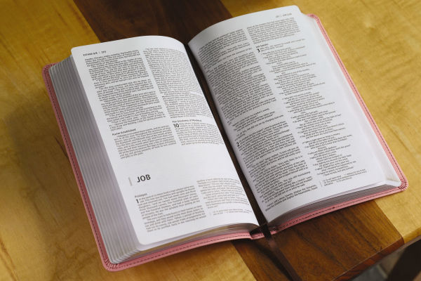 NIV, Premium Gift Bible, Leathersoft, /Brown, Red Letter