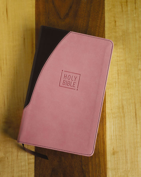 NIV, Premium Gift Bible, Leathersoft, /Brown, Red Letter