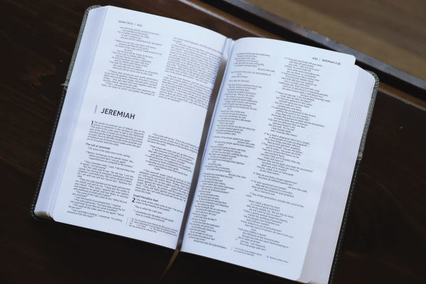 NIV, Premium Gift Bible, Leathersoft, Black/Gray, Red Letter, Comfort Print: The Perfect Bible for Any Gift-Giving Occasion