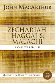 Books in pdf format download free Zechariah, Haggai, and Malachi: A Call to Rebuild (English literature) iBook