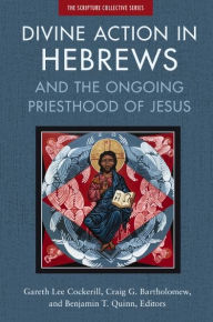 Textbooks download forum Divine Action in Hebrews: And the Ongoing Priesthood of Jesus by Zondervan, Gareth Lee Cockerill, Craig Bartholomew, Benjamin T. Quinn