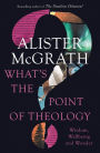 What's the Point of Theology?: Wisdom, Wellbeing and Wonder