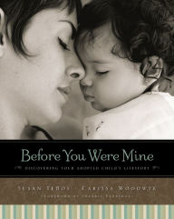 Title: Before You Were Mine: Discovering Your Adopted Child's Lifestory, Author: Susan TeBos