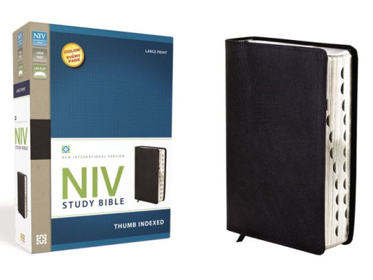 Study Bible Niv Large Print By Zondervan Hardcover Barnes Noble