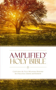 Title: Amplified Holy Bible, Paperback: Captures the Full Meaning Behind the Original Greek and Hebrew, Author: Zondervan